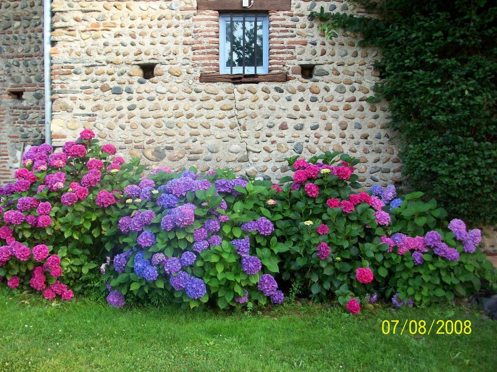 La Maison D'Anais Vic-en-Bigorre Exteriör bild